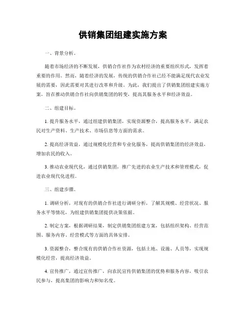 供销集团组建实施方案