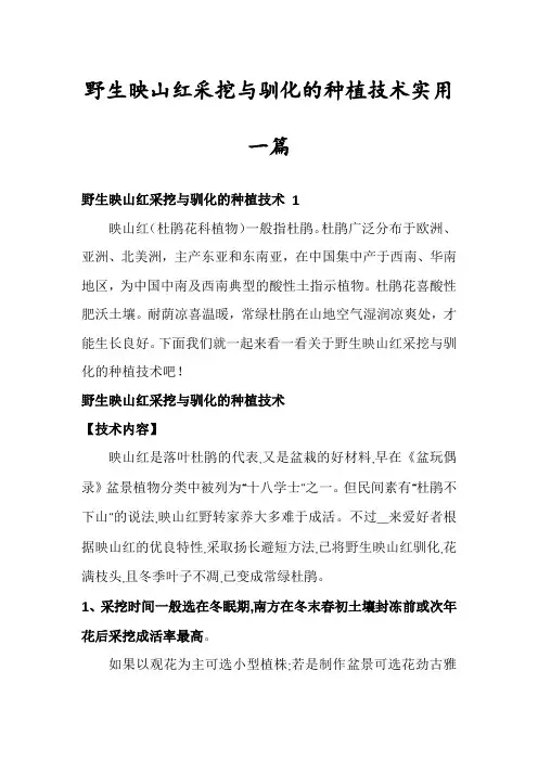 野生映山红采挖与驯化的种植技术实用一篇