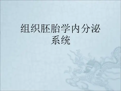 组织胚胎学内分泌系统