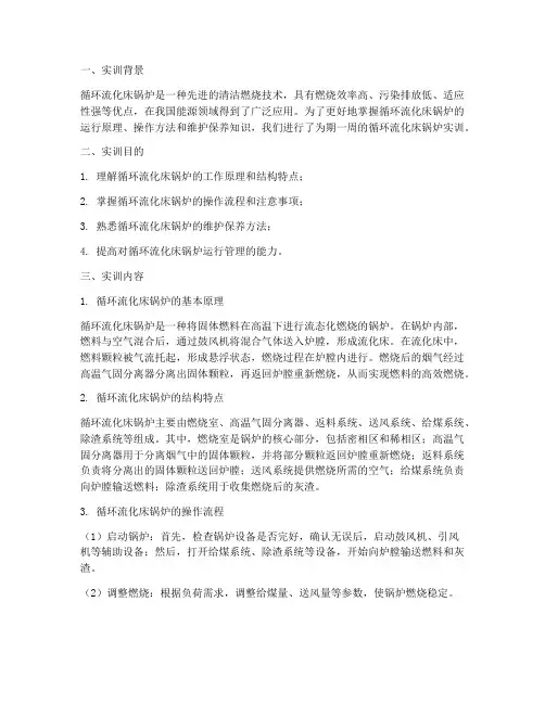 循环流化床锅炉实训报告