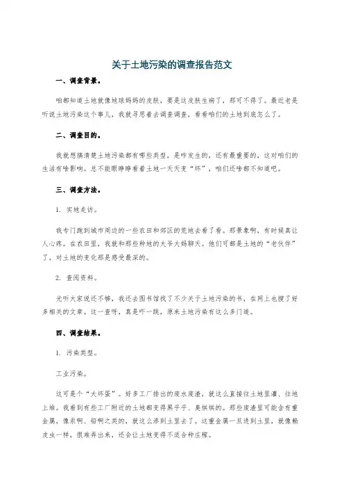 关于土地污染的调查报告范文