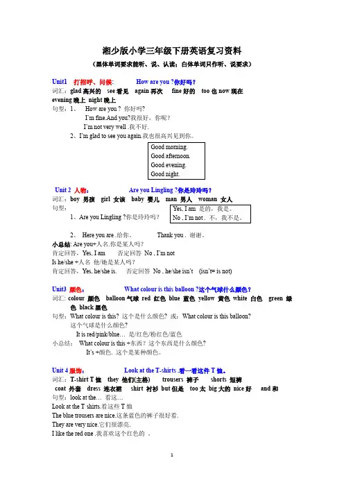 2019湘少版小学三年级下册英语复习资料