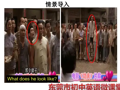Unit9_what_does_he_look_like