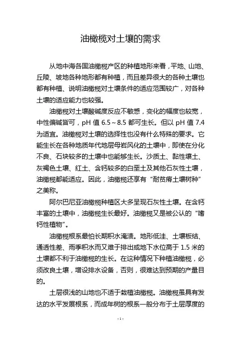 油橄榄对土壤的需求