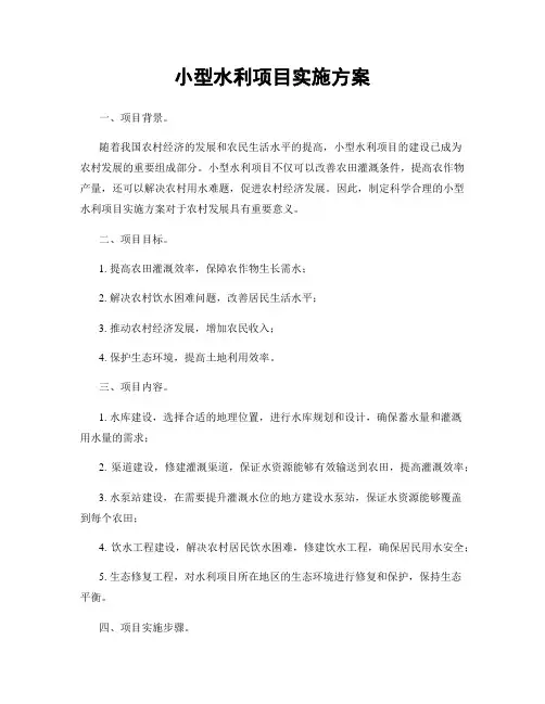 小型水利项目实施方案