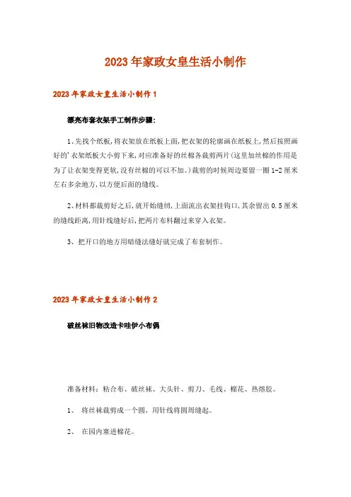 2023年家政女皇生活小制作