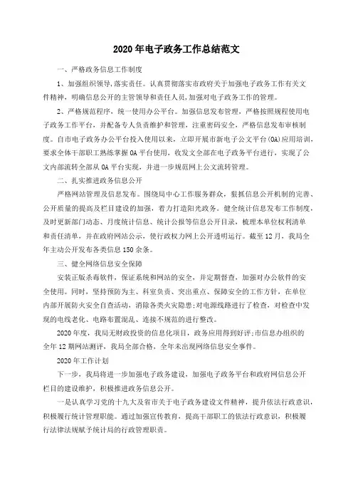 2020年电子政务工作总结范文