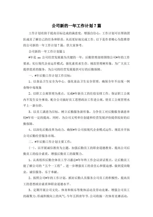 公司新的一年工作计划7篇