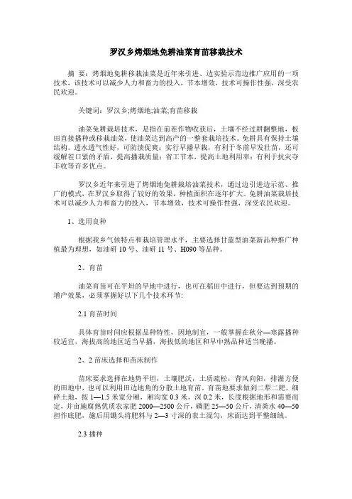 罗汉乡烤烟地免耕油菜育苗移栽技术
