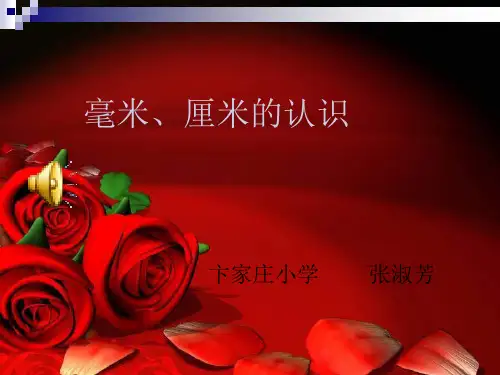 青岛版二年级数学下册《千米分米毫米的认识》之一PPT课件
