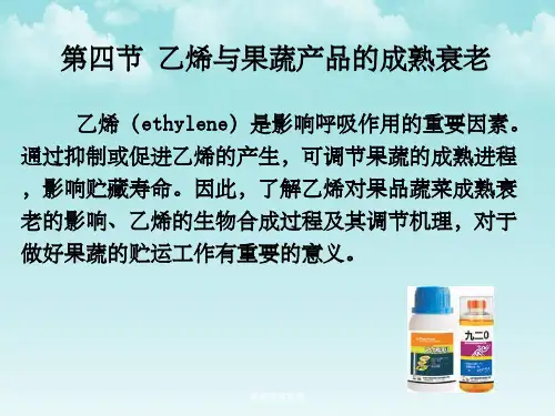 果蔬采后生理
