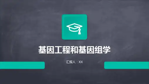 基因工程和基因组学