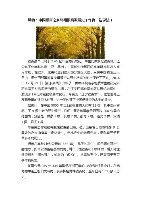 风物：中国银杏之乡邳州银杏发展史（作者：崔学法）