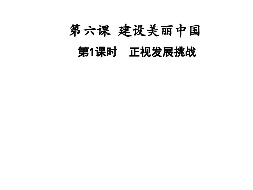 人教版道德与法治九年级上册6.1正视发展挑战课件 (共41页)