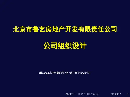某咨询鲁艺公司组织设计报告
