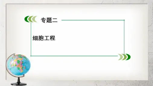 《细胞工程》高中生物选修3专题2【2017人教版】