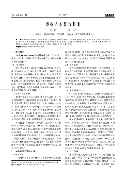 檫树苗木繁育技术       