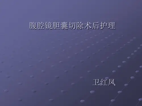 腹腔镜胆囊切除术后护理ppt课件