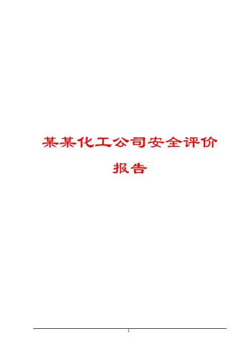某某化工公司安全评价报告【范本】