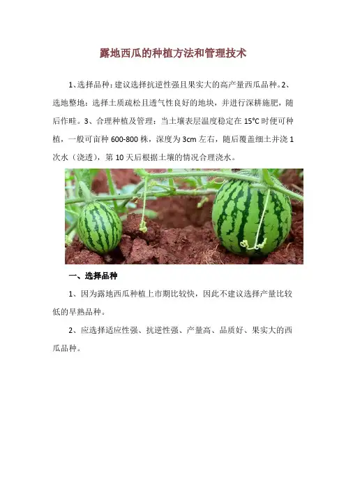 露地西瓜的种植方法和管理技术