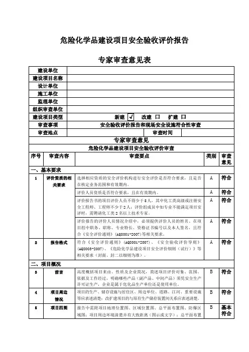 安全验收评价报告审查专家意见表