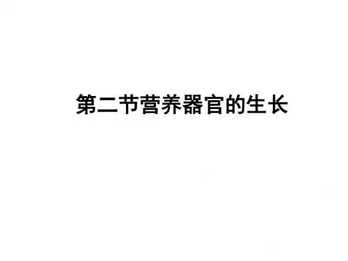 生物：北师大版七年级上6.2《营养器官的生长》课件