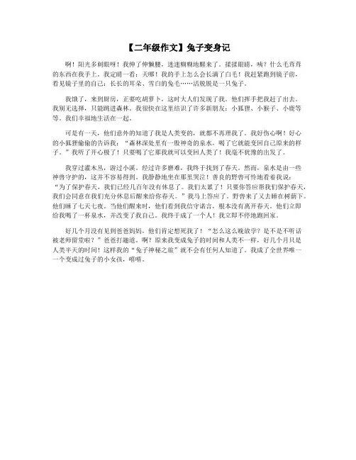 【二年级作文】兔子变身记