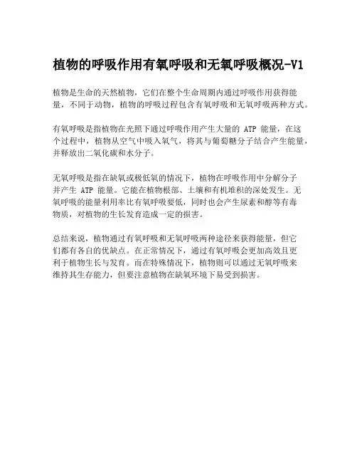 植物的呼吸作用有氧呼吸和无氧呼吸概况-V1