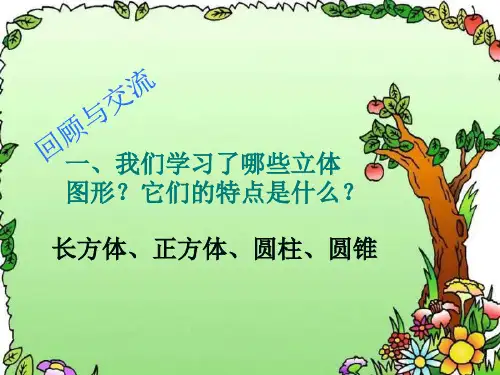 苏教版六下数学立体图形总复习ppt课件