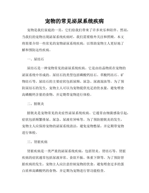宠物的常见泌尿系统疾病