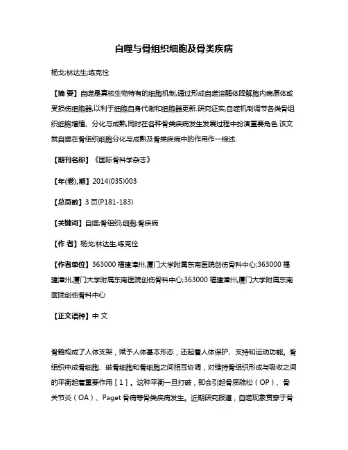 自噬与骨组织细胞及骨类疾病