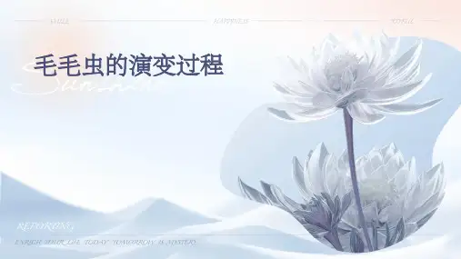 毛毛虫的演变过程