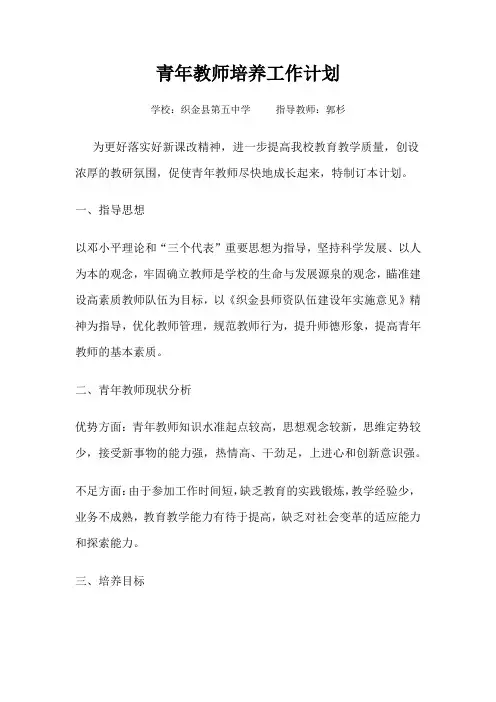 2017青年教师培养工作计划