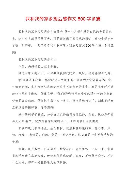 我和我的家乡观后感作文500字多篇
