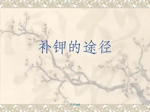 《补钾的途径》PPT课件