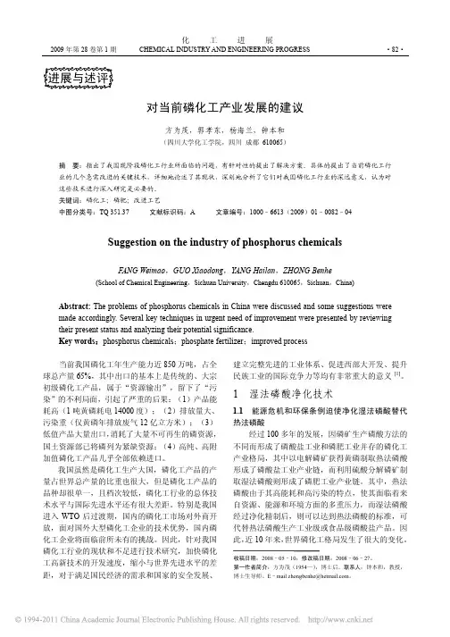 对当前磷化工产业发展的建议