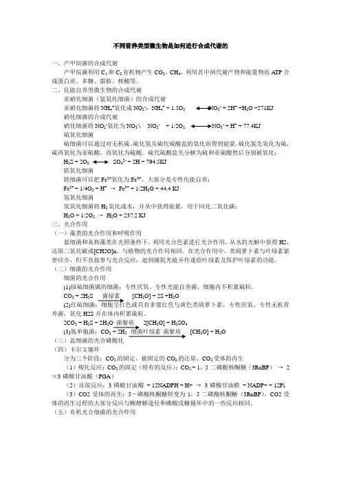 不同营养类型微生物是如何进行合成代谢的