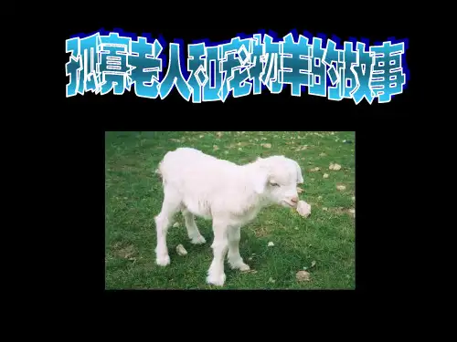 孤寡老人和宠物羊的故事