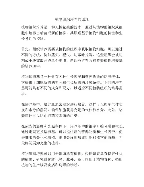 植物组织培养的原理