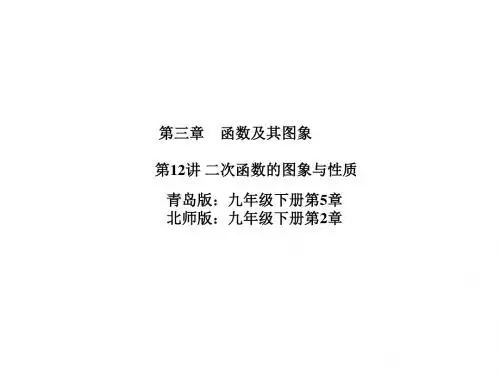 山东省菏泽市中考数学复习课件：第3章第12讲 二次函数