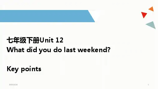 人教版七年级英语下册 Unit 12 What did you do last weekend？复习课件(共22张)