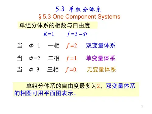 (推荐)《物理化学》PPT课件