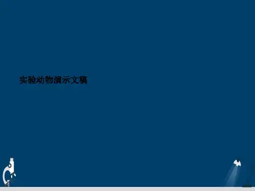 实验动物演示文稿