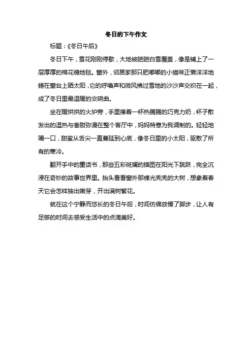 冬日的下午作文