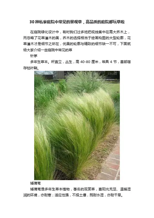 30种私家庭院中常见的景观草，高品质的庭院都玩草啦