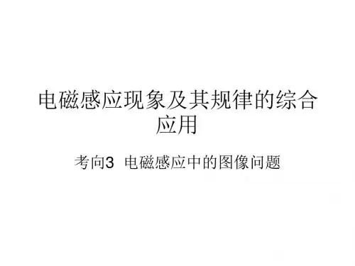 电磁感应现象的图像问题  PPT  课件