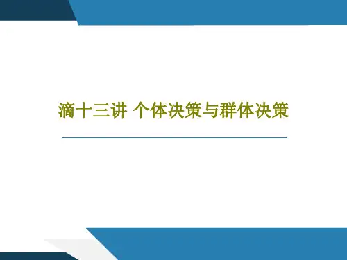 滴十三讲 个体决策与群体决策49页文档