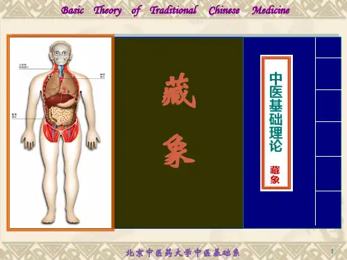 6藏象学说-五脏肺详解