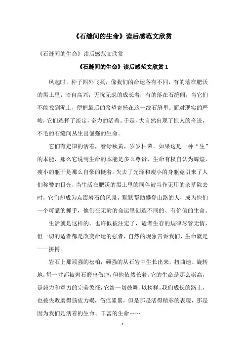 《石缝间的生命》读后感范文欣赏