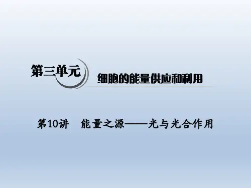 2020《高考生物》一轮复习课件第10讲 能量之源——光与光合作用